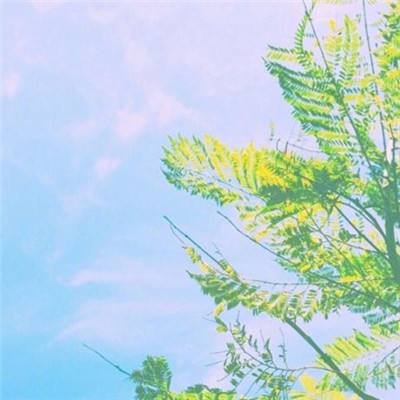 巴西股市受益于资源品上涨 两只巴西ETF表现亮眼